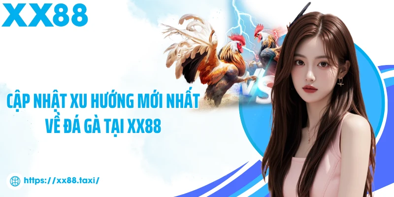 Cập nhật xu hướng mới nhất về đá gà tại XX88