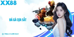 Đá gà cựa sắt
