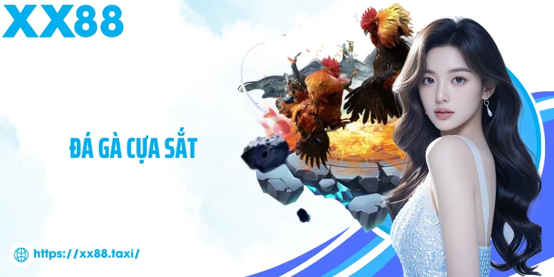 Đá gà cựa sắt
