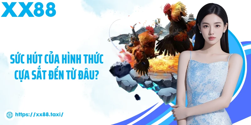 Sức hút của hình thức cựa sắt đến từ đâu?